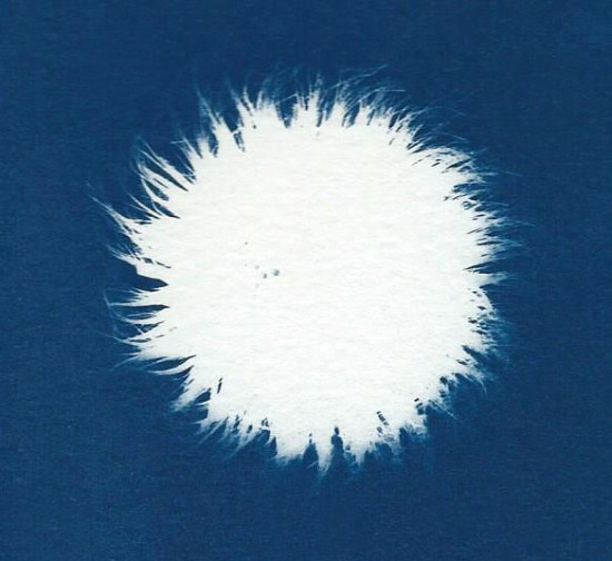 cyanotypes
