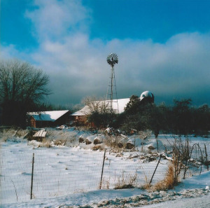 DoshasWindmillSouthHero.colorphotography.18X18.$250