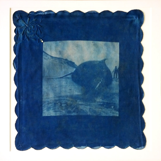 cyanotypes