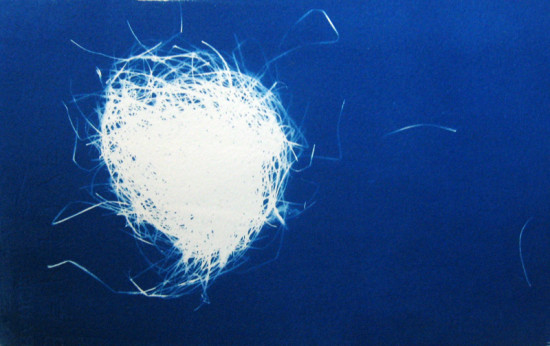 cyanotypes