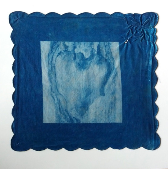 cyanotypes