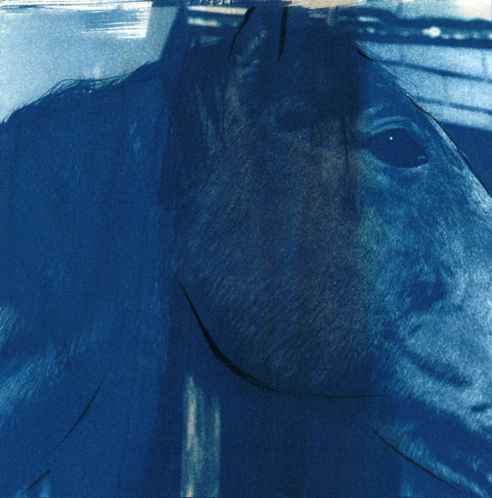 cyanotypes