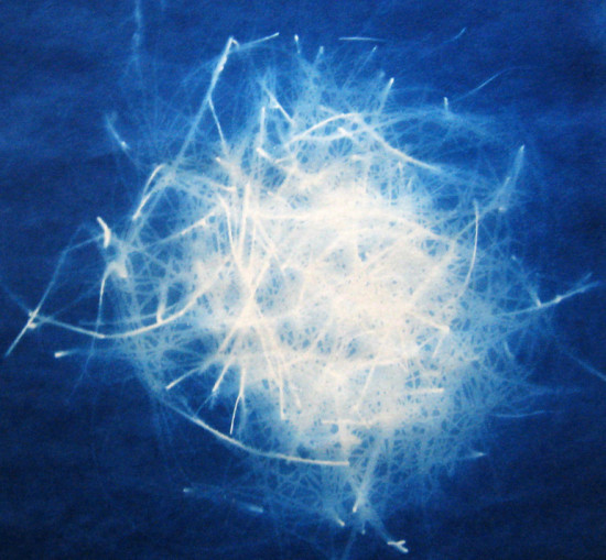 cyanotypes