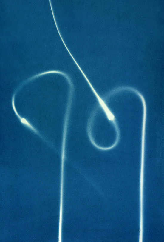 cyanotypes