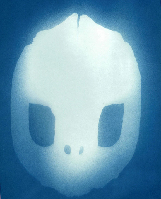 cyanotypes